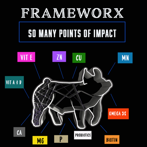 Proper Growth In Showpigs