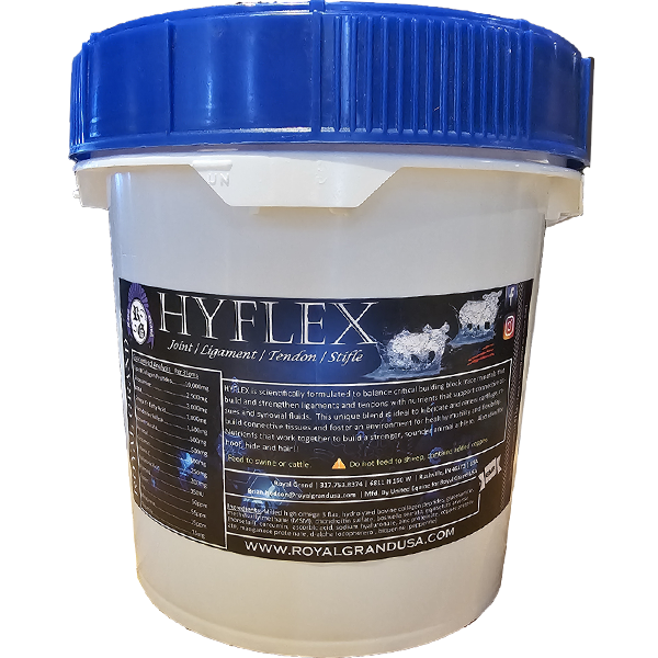 HyFlex